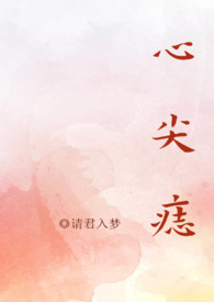 斜襟珠光感女装衬衫